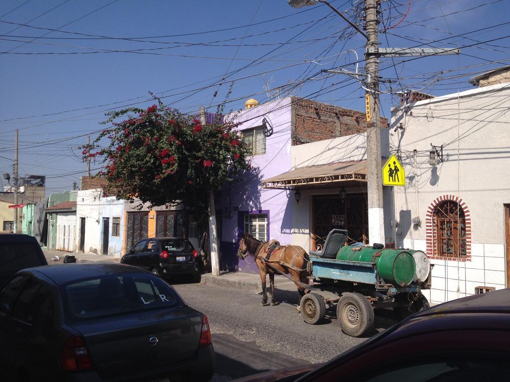 Casa De Las Flores Bed & Breakfast Tlaquepaque Dış mekan fotoğraf