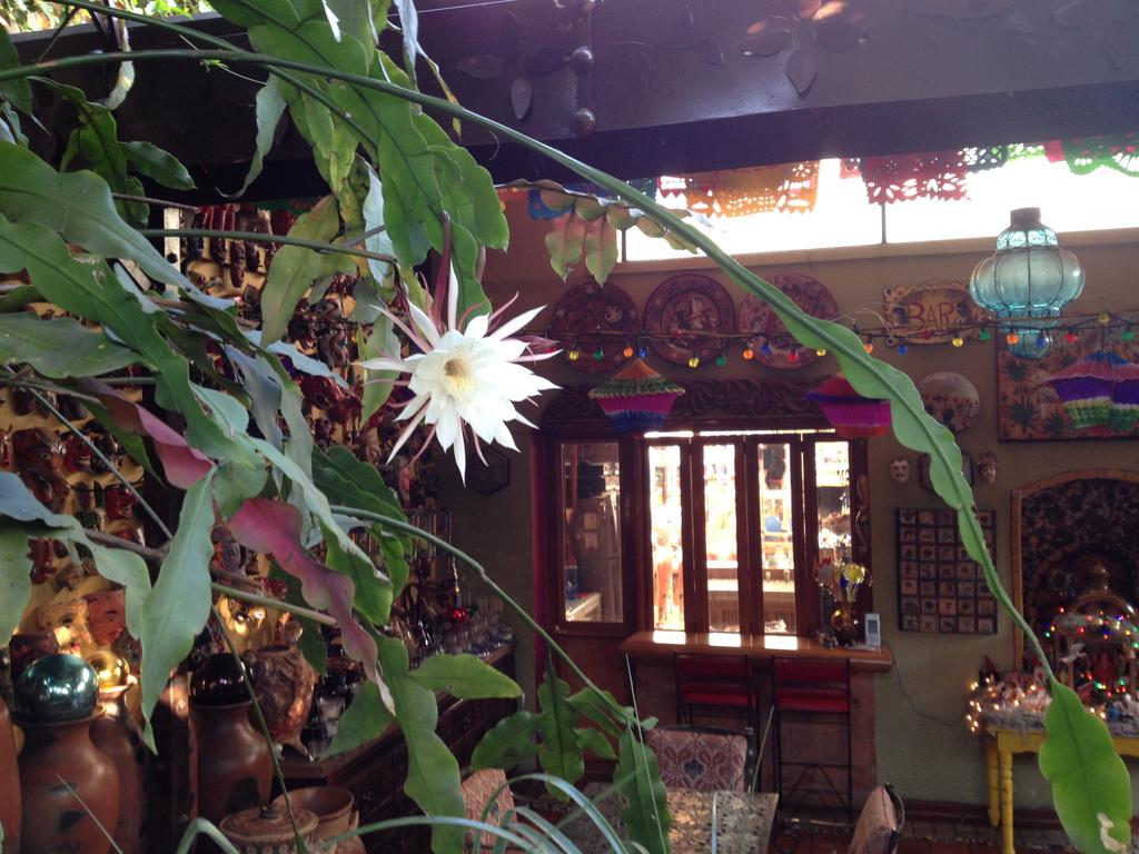 Casa De Las Flores Bed & Breakfast Tlaquepaque Dış mekan fotoğraf