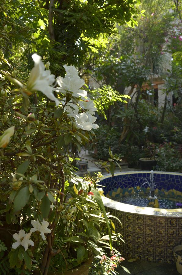 Casa De Las Flores Bed & Breakfast Tlaquepaque Dış mekan fotoğraf