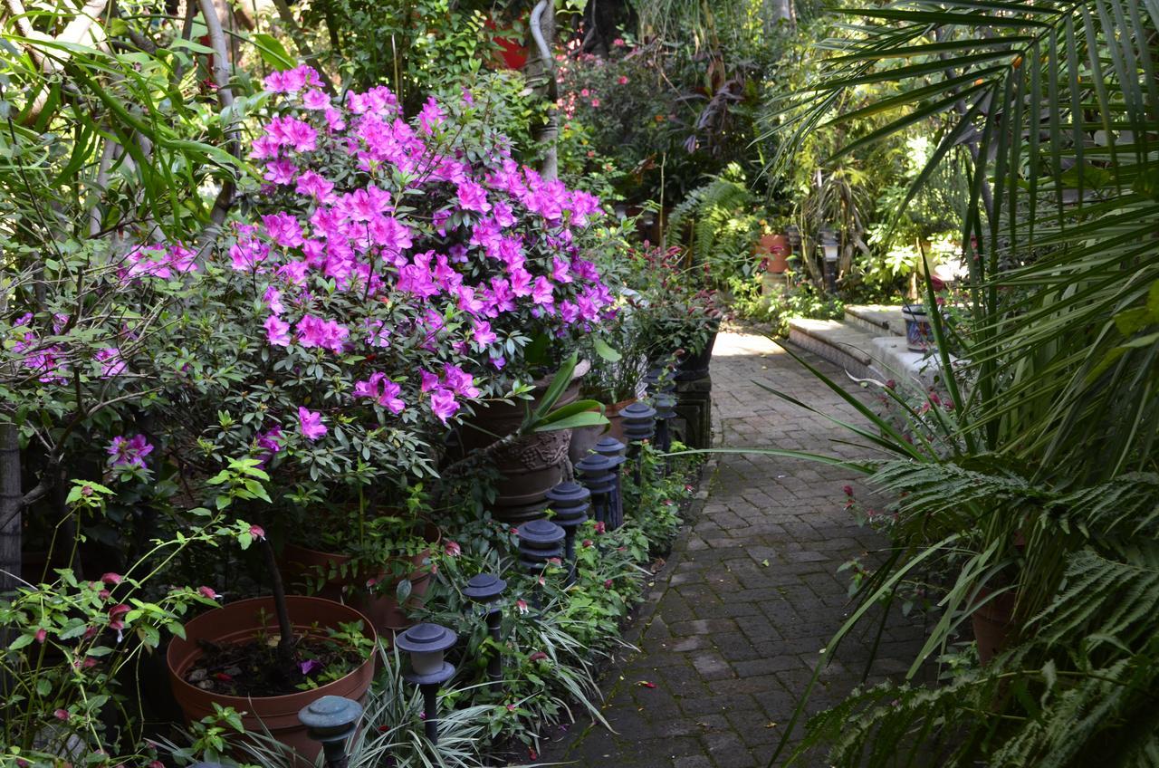 Casa De Las Flores Bed & Breakfast Tlaquepaque Dış mekan fotoğraf